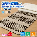 期間限定セール 除湿シート 除湿マット シングル すのこマット すのこ型吸湿マット 湿気対策 すのこ 東洋紡 ふとん シングル 結露 結露対策 消臭 防ダニ 抗菌 防臭 抗菌防臭 辻一株式会社 実演販売士 レジェンド松下 もっと抗菌防臭 INEXIT