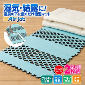 2個セット 除湿マット シングル 除湿シート ブロックタイプ ジョイントマット 布団 ダニ マットレス 日本製 シングル 湿気対策 アレルキャッチャータイプ 6枚組 すのこ型除湿マット すのこ型吸湿マット 消臭 吸湿 防ダニ 抗菌防臭　エアジョブ マックス