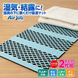 期間限定セール 除湿シート シングル 2個セット 日本製 布団 すのこ 花粉 ダニ 吸着 湿気対策 結露 結露対策 すのこマット 除湿マット消臭 抗菌 防臭 すのこ型吸湿マット エアジョブ マックス 東洋紡 マット 値下げ 消臭 抗菌 防臭 抗菌防臭 辻一株式会社