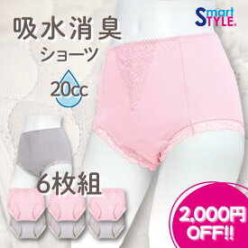 期間限定2,000円OFF!! 【新着】6枚組 吸水ショーツ 消臭 抗菌防臭 無地 シンプル 女性用 吸水ショーツ 失禁ショーツ 吸水パンツ 失禁パンツ 消臭パンツ 尿漏れパンツ 尿もれ 母の日 敬老 東洋紡 TOYOBO QVC M L LL 3L 4L 5L 大きめサイズ 中失禁 2026