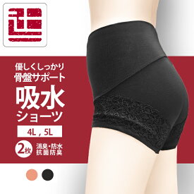 ポイント5倍 2枚組 大きいサイズレディース 吸水ショーツ 母の日 敬老 吸水消臭ショーツ 骨盤まわりサポートタイプ レディース 失禁ショーツ 軽補正 ソフトガードル 骨盤サポート 引き締め 4L 5L 大きいサイズ 中失禁 無地 ゴムフリー ヒップアップ 辻一株式会社 値下げ