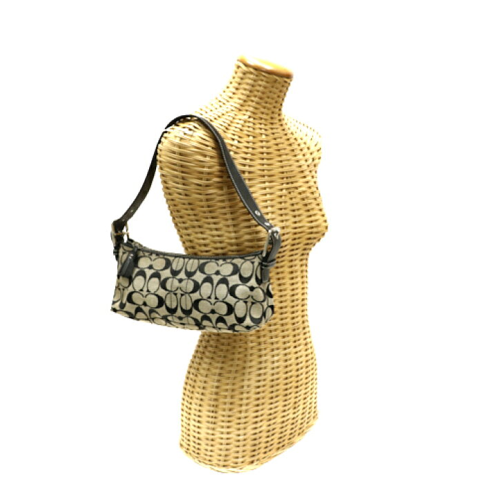 コーチ アクセサリーポーチ ワンショルダー キャンバス シグネチャー 6371 