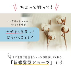 【楽天市場】サニタリー サニタリーショーツ 吸水 昼用 セット シームレス オーバーパンツ ナプキン不要 深ばき 吸水型 大きいサイズ