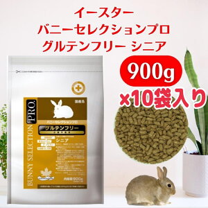 ETM ayVjA 10܁z900g10ܓOet[ oj[ZNVv `V[ ܖ2026N6  e ybg GT  t[h ʌ  󂠂 