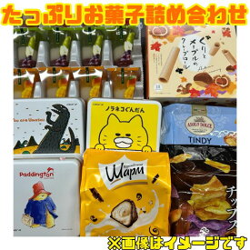 【たっぷりお菓子詰め合わせセット】 賞味期限2025年8月以降 シロップ 和菓子 和スイーツ クッキー プリン ゼリー チョコレート お菓子 福袋 食品ロス フードロス 削減 大人気 数量限定 送料無料 日本もったいない食品センター