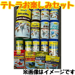 yegy݃Zbgzeg  Mы k}Gr  ԃt[h  a  GT 󂠂   ʌ i ʔ