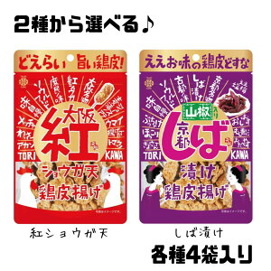 y2ނ炨IтzgVEK ΒЂ ܂   Ae  hEVV GRC[g ʔ  ňl  lC ʌ i HiX팸 {
