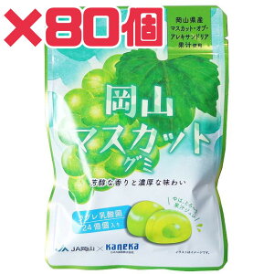 O~ }XJbg yR}XJbgO~z40g 80Zbg ܖ2025N1211 JlJ u_ ALThA ʏ`gp ʏ`W GRC[g ʔ  lC ʌ Hi