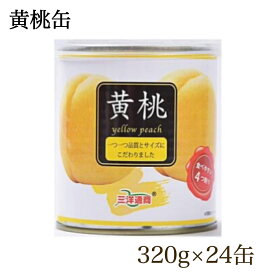三洋通商【黄桃缶】5号缶 320g ×24缶入り 賞味期限 2027.9 黄桃シラップ漬け 三洋通商 桃 桃缶 果物 缶詰 食品ロス フードロス エコイート 通販 日本もったいない食品センター