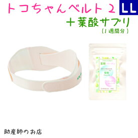 楽天市場 妊娠 中期 サプリメントの通販