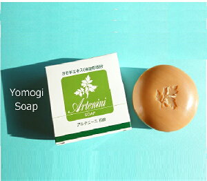  ppjΌiAej[jΌ pij3 Zbg  Ό Aej[΂ Dw DPj oYj Mtg