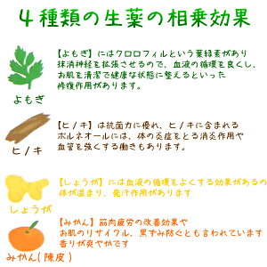 楽天市場 蓬 De 温泉気分 よもぎの湯 ヨモギ 入浴剤 ８回分お試し 送料無料 代謝 よもぎ 入浴 風呂よもぎ蒸し よもぎ入浴 檜 陳皮 生姜骨盤矯正 ベルト 妊婦 妊娠お祝い 出産祝い 肌荒れよもぎジェル 蓬ジェル ギフト 助産師のお店 ぷれままサロン佐伯