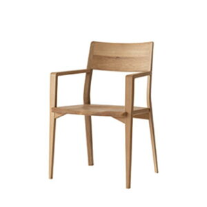 yˎYƁz ̂ A[`FA fx231a Yi(ߓ)