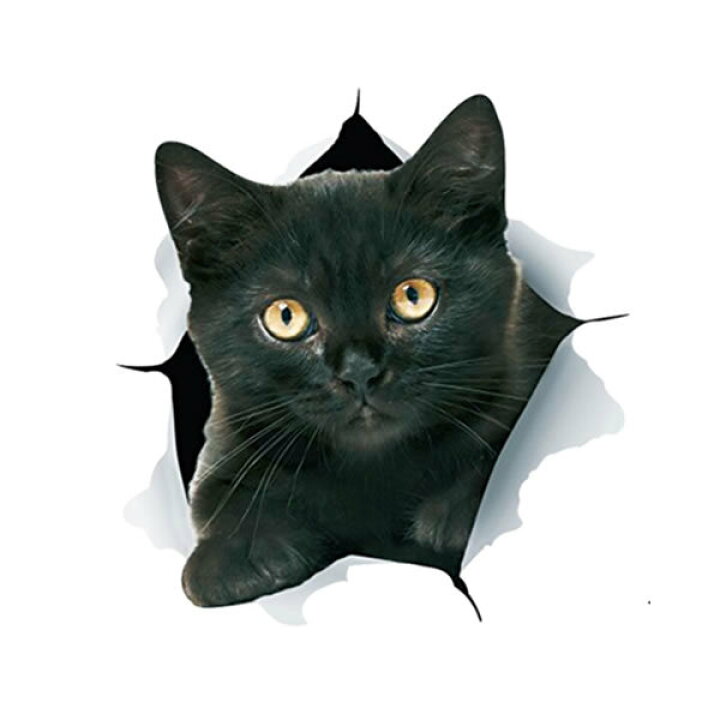 楽天市場】カーステッカー 猫 かわいい 動物 アニマル シール ドレス 