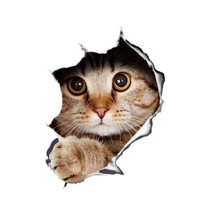 J[XebJ[ L 킢  Aj} V[ hXAbv  oCN J[pi XebJ[ J[XebJ[ B PR-CATST03y[ z