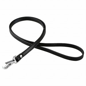 lbNXgbv | }CNt@Co[U[ Ј Y fB[X rWlX JWA |Xgbv PR-NONREELy[ z