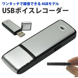 USBボイスレコーダー 4GB　小型 ワンタッチ録音のUSB 4GB型ボイスレコーダー【メール便 送料無料】