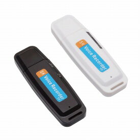小型 ボイスレコーダー ワンタッチ録音 MicroSDカード式 録音 ICレコーダー 簡単操作 軽量 コンパクト USB PR-SDRECO【メール便 送料無料】