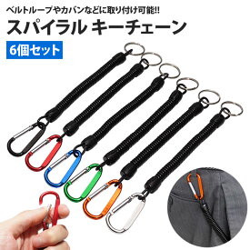 【動画あり】 スパイラルキーチェーン 6個セット カラビナ付き キーリング キーホルダー カギ 鍵 伸びる 紛失防止 PR-SPIRALKEY【メール便 送料無料】
