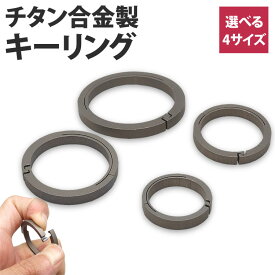 【動画あり】 チタン製 キーリング 丸型 カギ 鍵 軽量 丈夫 リング 円形 アクセサリー キーホルダー 接続 PR-TIRING4【メール便 送料無料】