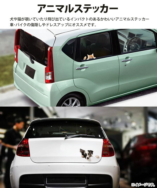 楽天市場 カーステッカー 犬 猫 かわいい 動物 アニマル ドレスアップ 車 バイク カー用品 ステッカー Pr Petst メール便 送料無料 プランドル楽天市場店