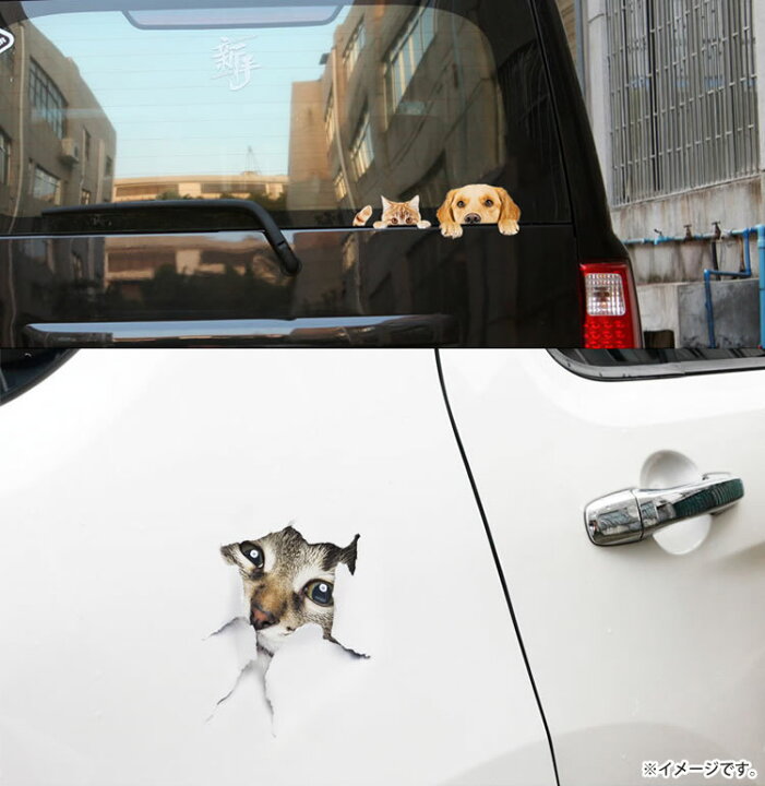 楽天市場 カーステッカー 犬 猫 かわいい 動物 アニマル ドレスアップ 車 バイク カー用品 ステッカー Pr Petst メール便 送料無料 プランドル楽天市場店