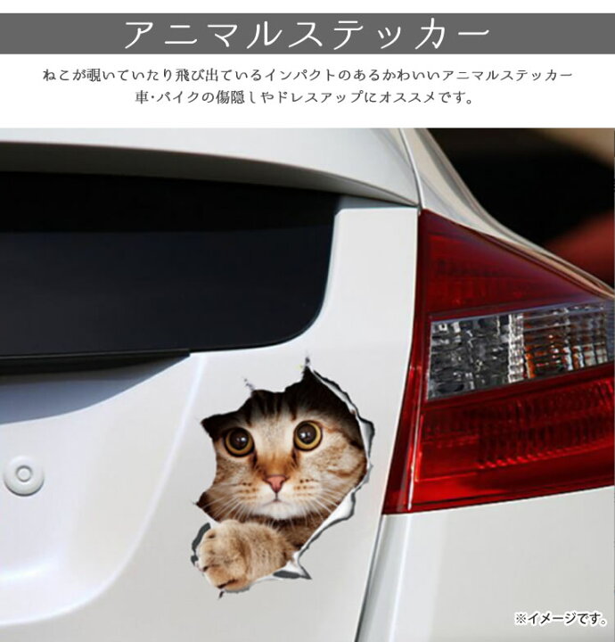 楽天市場 カーステッカー 猫 シール かわいい 動物 アニマル ドレスアップ 車 バイク カー用品 ステッカー カーステッカー 傷隠し Pr Catst03 メール便 送料無料 プランドル楽天市場店