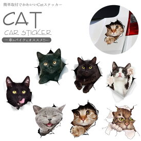 カーステッカー 猫 シール かわいい 動物 アニマル ドレスアップ 車 バイク カー用品 ステッカー カーステッカー 傷隠し PR-CATST03【メール便 送料無料】