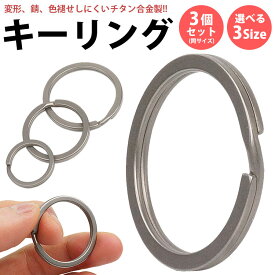キーリング チタン合金 3個セット 2重リング 丸型 高耐久 軽量 小型 簡単取付 鍵 カギ 持ち運び便利 アクセサリー PR-SANTI-3ST【メール便 送料無料】