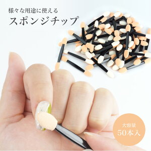 lCc[ X|W`bv 50{Zbg ZtlC WFlC uV lC lCuV PR-NAIL24CHIP50y[ z