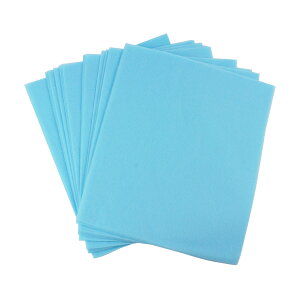 lC_Xg p y[p[ Wo@ _XgRN^[ lC |@ ܗp|@ tB^[y[p[ 100 PR-NAIL24FILPERy[ z