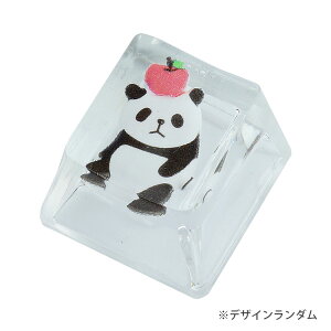 p_ L[Lbv L[{[hp 킢 JjJ Q[~O L[  JX^}CY  p_ PR-PANDACAP-1STy[ z