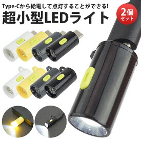 【動画あり】 超小型 LEDライト 給電式 2個セット Type-C オス メス 懐中電灯 約210ルーメン 軽量 小型 指先サイズ 広範囲 USB給電式 簡単操作 携帯 アウトドア コンパクト PR-CX0424-2ST【メール便 送料無料】