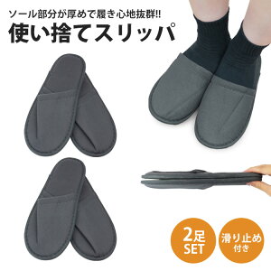 ĝăXbp gуXbp 2Zbg ĝ ~ O^Cv ₷  s q g ^ y PR-SLIPPER01-2STy[ z