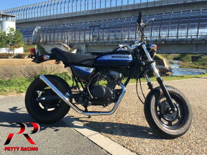 HONDA GCv50 APE Xg[g }t[