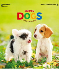 楽天市場 犬 カレンダーの通販