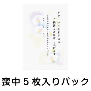 r͂ 5pbN MP-1 Ӓ rnKL rty؎͂qlłpӂ̂\ēĉz