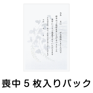 r͂ 5pbN MP-4 R rnKL rty؎͂qlłpӂ̂\ēĉz