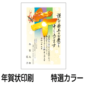 N  N IJ[i80jN  N N 2026N ߘa8N ߔN NnKL N͂