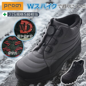 vm WXpCN _CZ[teB[u[c PR-2448 h SC ƌC ϊ KX@ sXpCN kC Prono