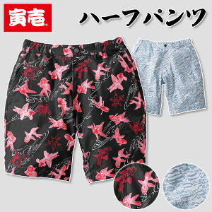 Ј gC` n[tpc 2250-241 Y fB[X Y{ Ղ jtH[  a TORA