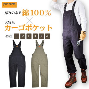 vm ȃJ[STybg PR-2402 100% N  I[o[I[ Y ƕ ƒ Lv n DIY 