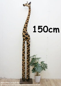 [|Cg2{]L̃IuWF 150cm 񂳂 ؒ̓ ؒ̒u nhCh CeA oG AWAG u  ꓁ ؐIuWF GXjbN AWAC