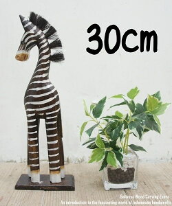 [|Cg2{]V}E}̃IuWF B 30cm ܂ Ȕn ؒ̓ ؒ̒u nhCh CeA Vzj j zj v[g j oG u  