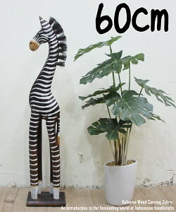 [|Cg2{]V}E}̃IuWF B 60cm ܂ Ȕn ؒ̓ ؒ̒u nhCh CeA Vzj j zj v[g j oG u  