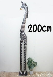 [|Cg2{]V}E}̃IuWFB 200cm ܂ Ȕn ؒ̓ ؒ̒u CeA Vzj j zj v[g j oG u ؐIuWF GXj