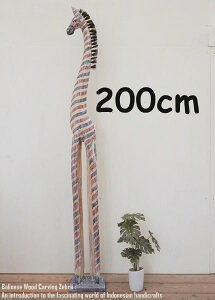 [|Cg2{]V}E}̃IuWF FR 200cm 2m    ܂ Ȕn ؒ̓ ؒ̒u CeA Vzj j zj v[g j oG u ؐIu