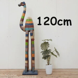 [|Cg2{]N_̃IuWF RB 120cm C{[ N_ pk ؒ̓ ؒ̒u nhCh CeA Vzj j zj v[g j oG u