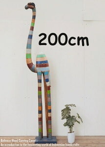 [|Cg2{]N_̃IuWF RB 200cm C{[ N_ pk ؒ̓ ؒ̒u nhCh CeA Vzj j zj v[g j oG u