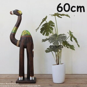 [|Cg2{]N_̃IuWFBG 60cm N_ pk L ؒ̓ ؒ̒u nhCh CeA Vzj j zj v[g j oG u 